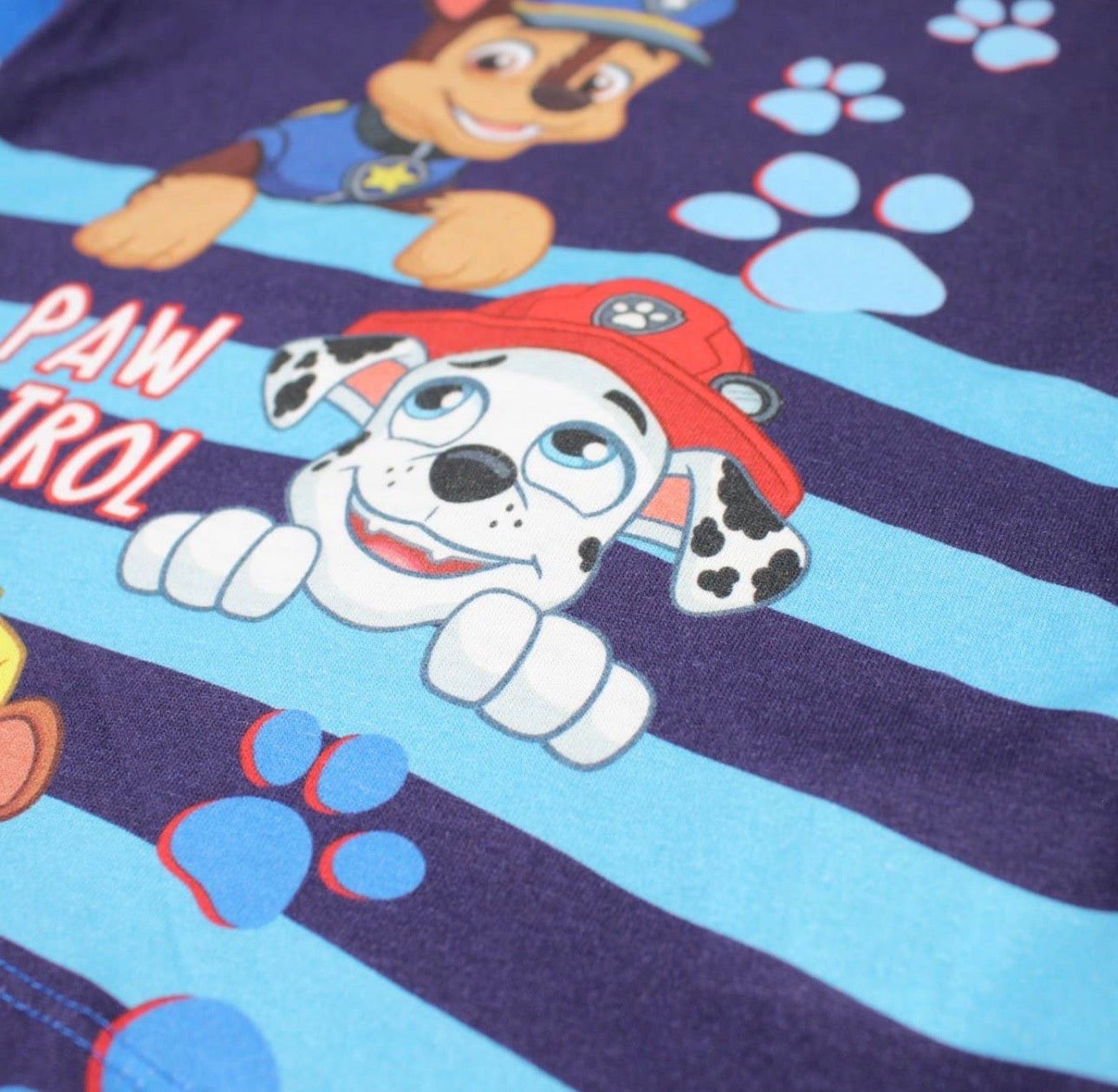 Paw Patrol 2er Set hell blau